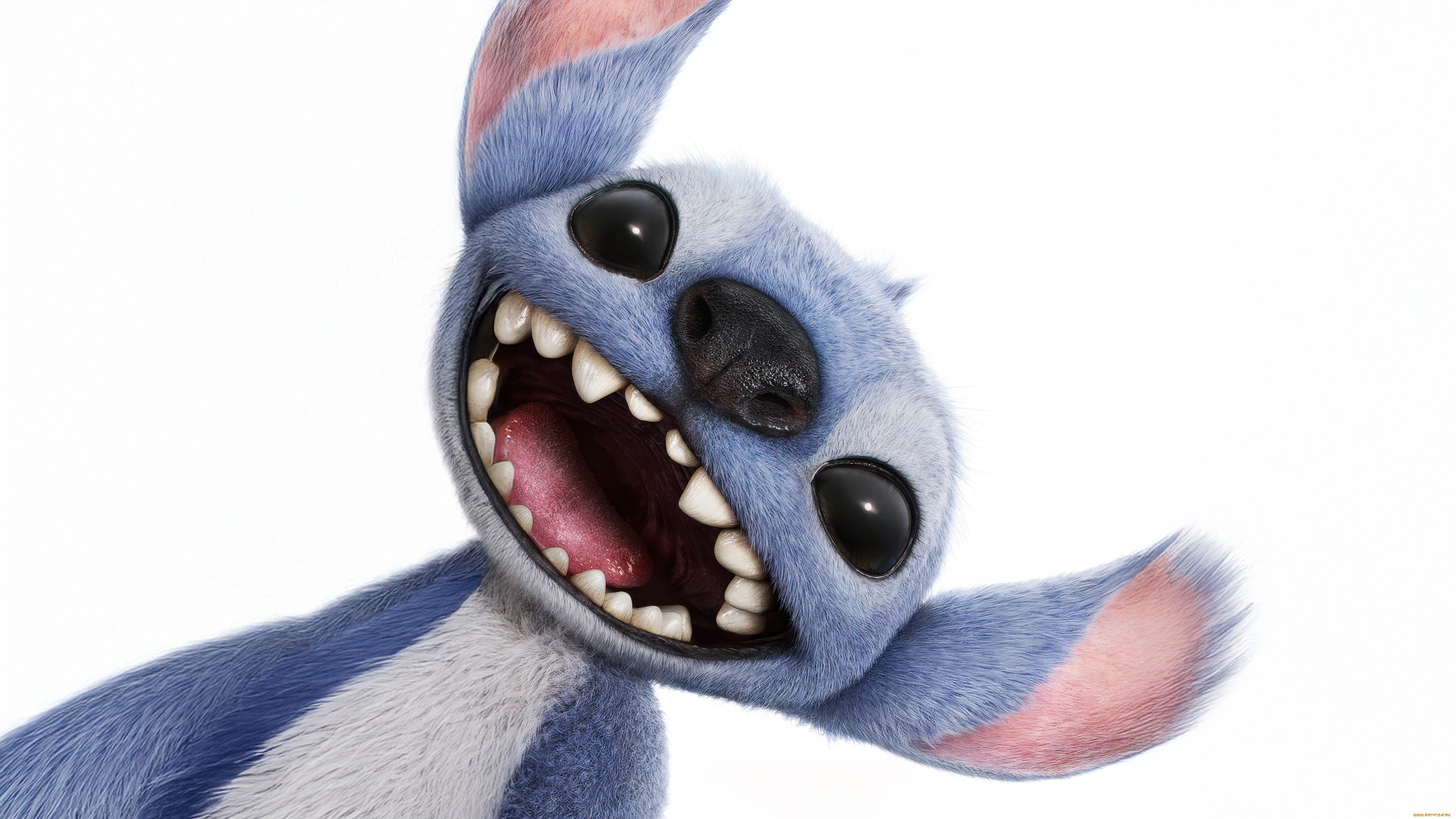 lilo & stitch,  , -unknown , , lilo, stitch